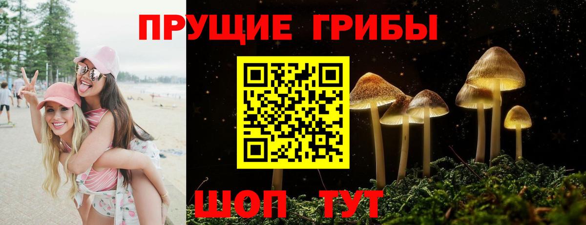 Куйбышев  Галлюциногенные грибы мухоморы  Вход с VPN 